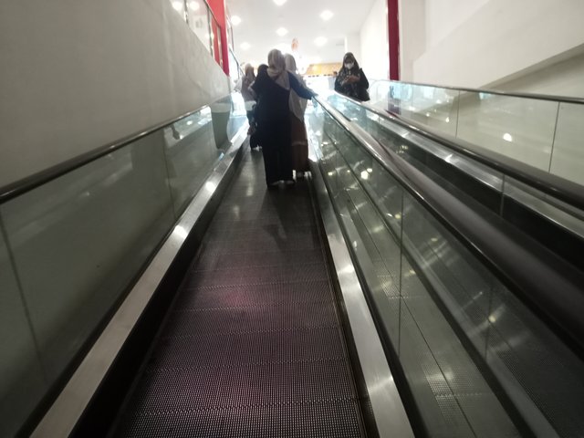 IMG20250724163506.jpg