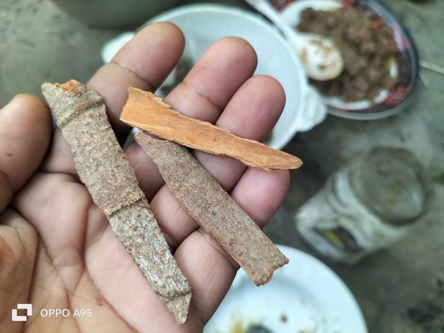 IMG20250612173130.jpg