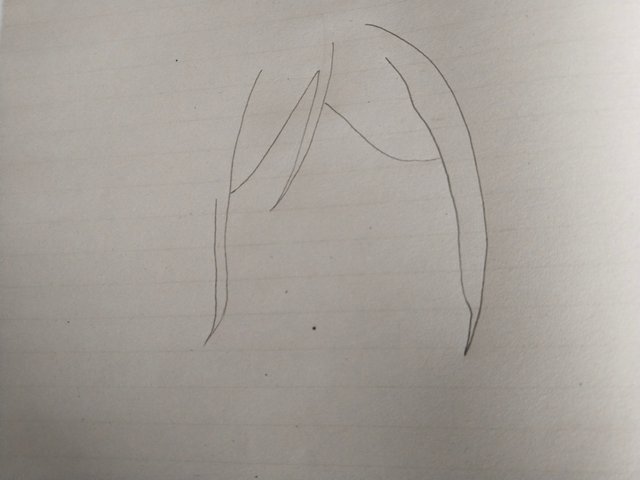 1000142704.jpg