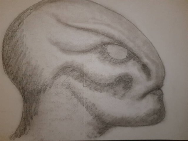 20250710_110146.jpg