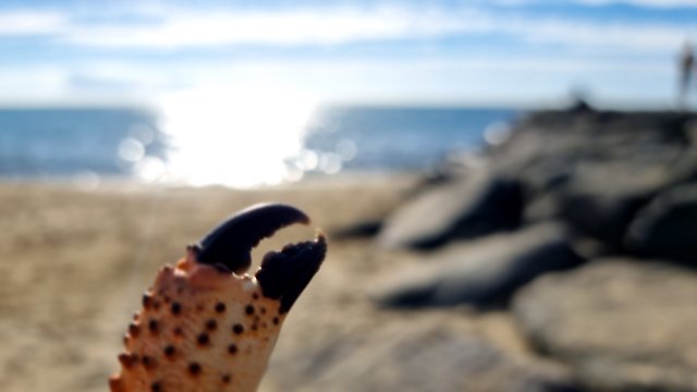 20221016_153109.jpg