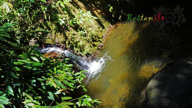 charco de sonia.jpg