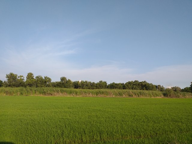 countryside view5.jpg