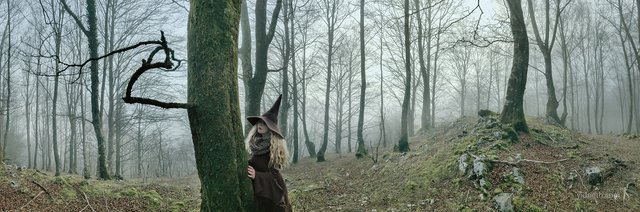 misty forest witch hat - by priscilla Hernandez (yidneth.com) - Priscilla Hernandez.jpg