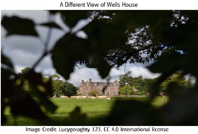 Wells3 House Ireland, a Big House Lucygeraghty123 4.0.jpg