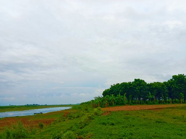 IMG_20250620_214610.jpg