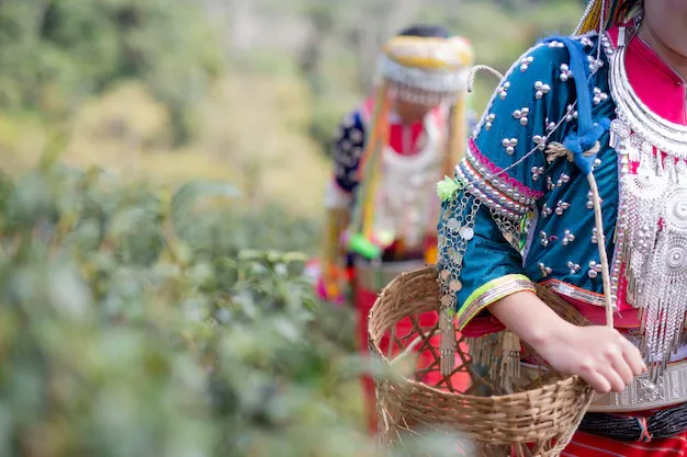 agriculture-hilltribe-women_1150-7340.webp