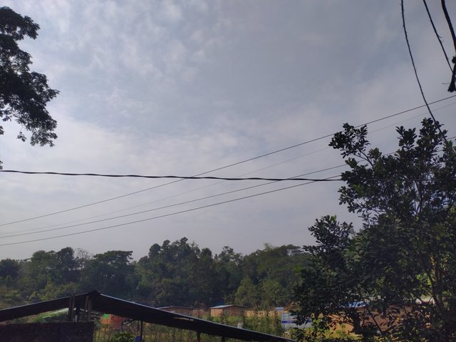 IMG20241225143040.jpg