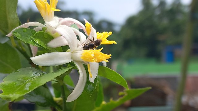 20240527_115650.jpg