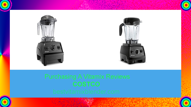 Purchasing A Vitamix Reviews Costco .png