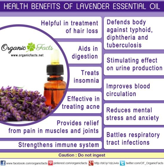 health-benefits-lavender-essential-oil.jpg.jpg