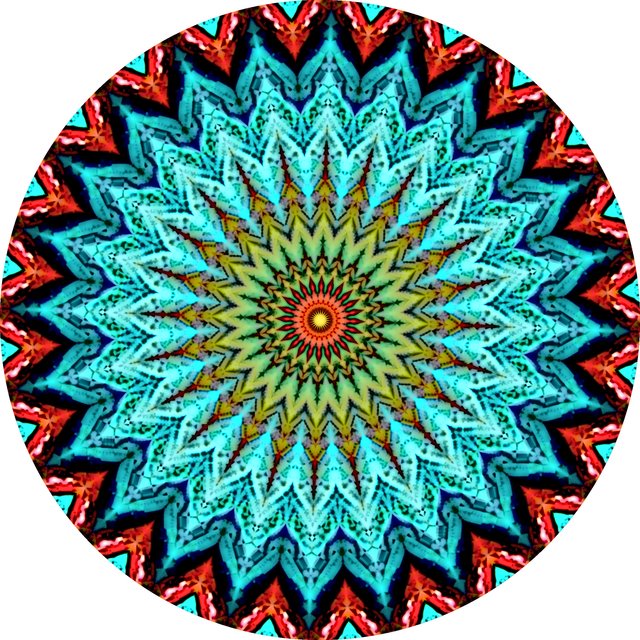 daily mandala 8-22-2021.jpg