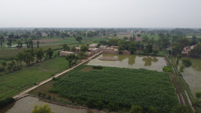 Photo_6554316_DJI_716_jpg_4677600_0_202161153148_photo_original.jpg