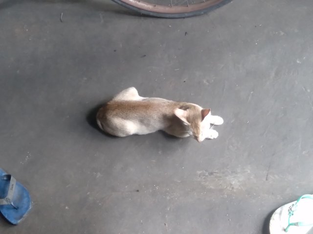20250620_142939.jpg