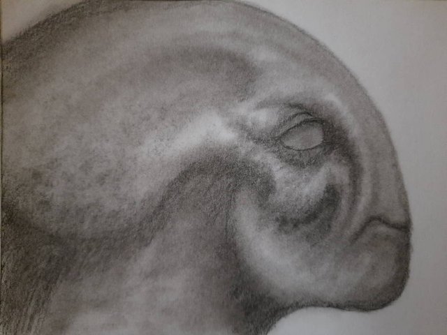 20250929_104810.jpg
