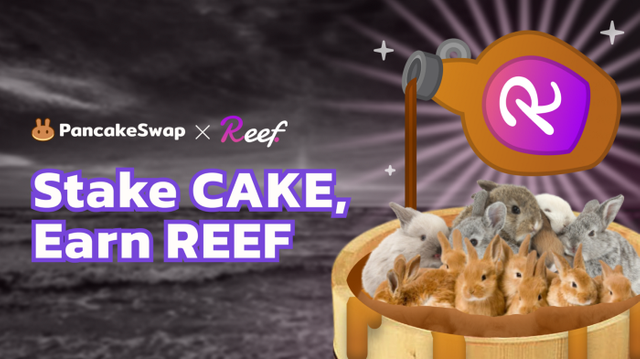 stake cake earn reef.png