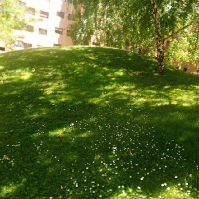 IMG_20250607_160619_205.jpg