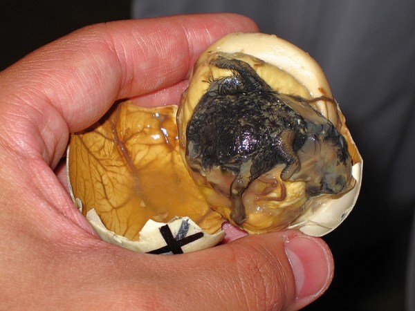 Balut-by-Meng-via-Flickr.jpg