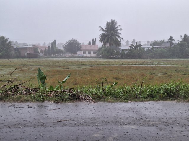 1001062837.jpg