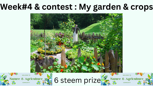 Week#4 & new contest My garden & crops.png