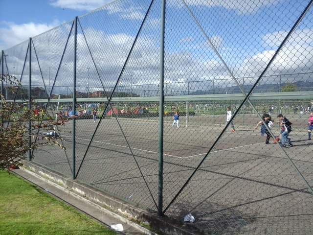 cancha de voleibol.jpg