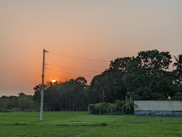 1000026607.jpg