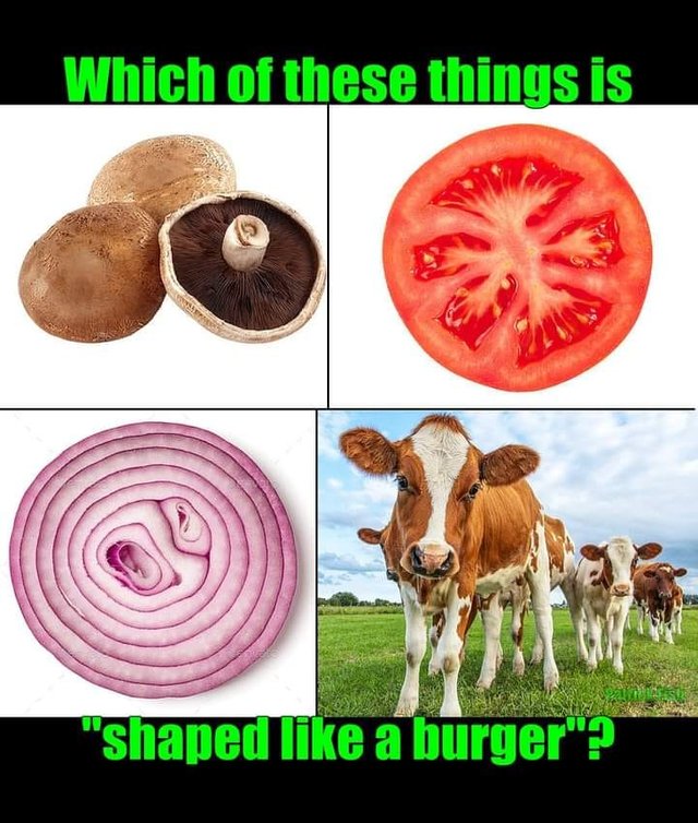 480573910_623136230473309_6498365997212689032_n.jpg