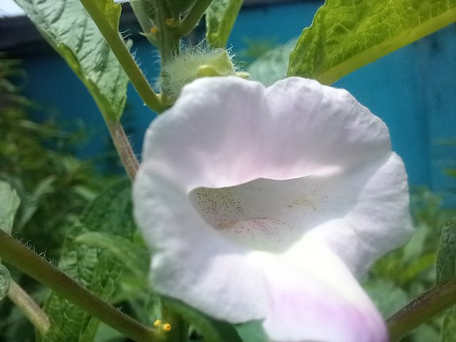 20250801_115157.jpg