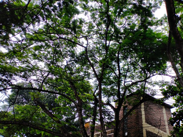 IMG20250621151826.jp