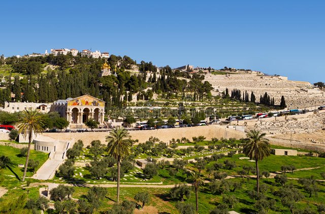 o-monte-das-oliveiras-jerusalém-israel-40104102.jpg
