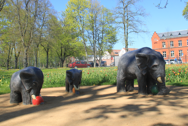 Elefanten im Friedrich-Ebert-Park