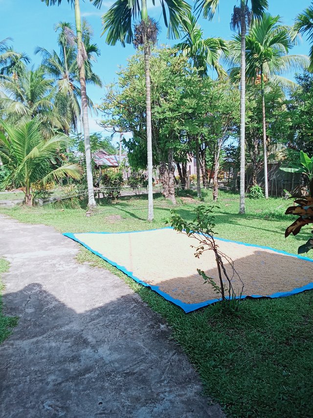1000155191.jpg