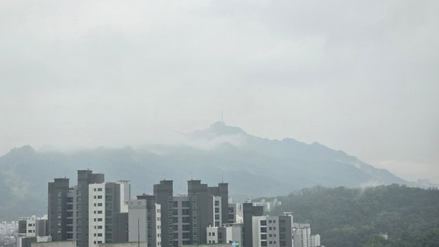 1000122343.jpg