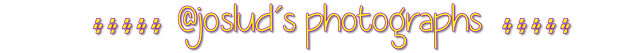 Art-banner2.png