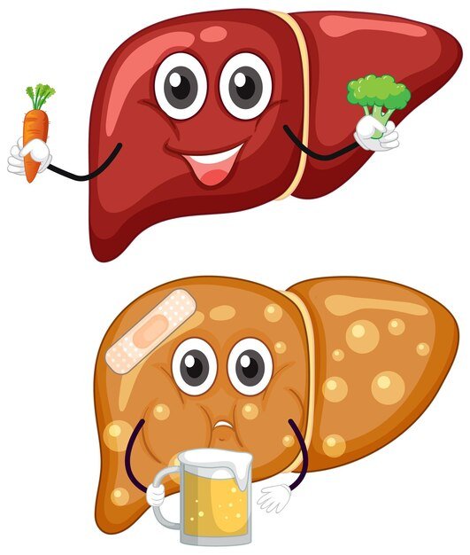 healthy-liver-fatty-liver-cartoon-character_1308-93391.jpg