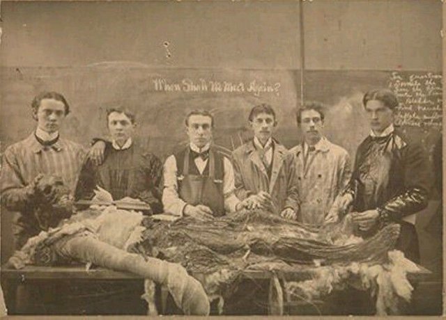 estudiantes de medicina con un cadáver 1900.jpg