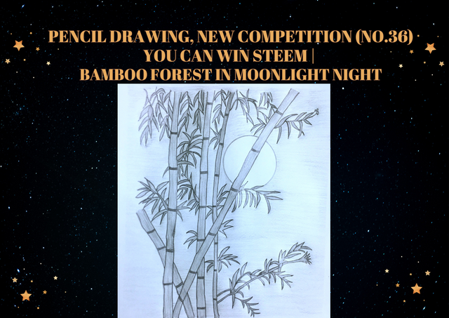 Pencil drawing, New Competition (No.36) You can win Steem  Bamboo forest in moonlight night by @zisha-hafiz.png