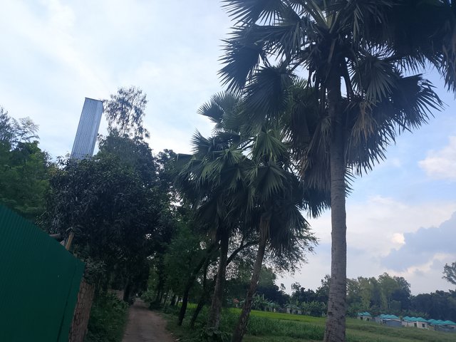 1000050267.jpg