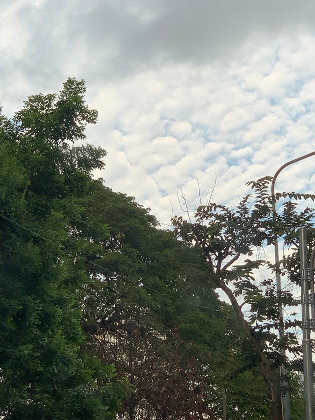 Bangkok28.jpg