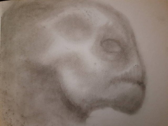 20250520_105253.jpg