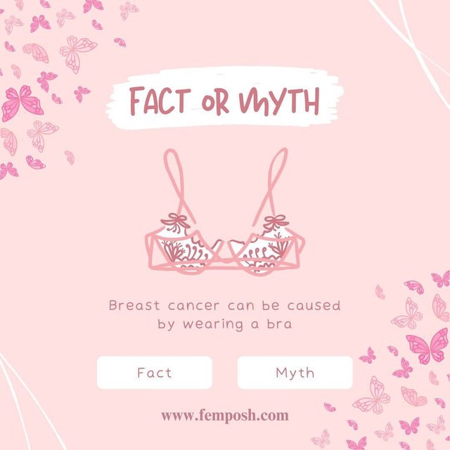 Separating Facts from Myths about Bras.jpg