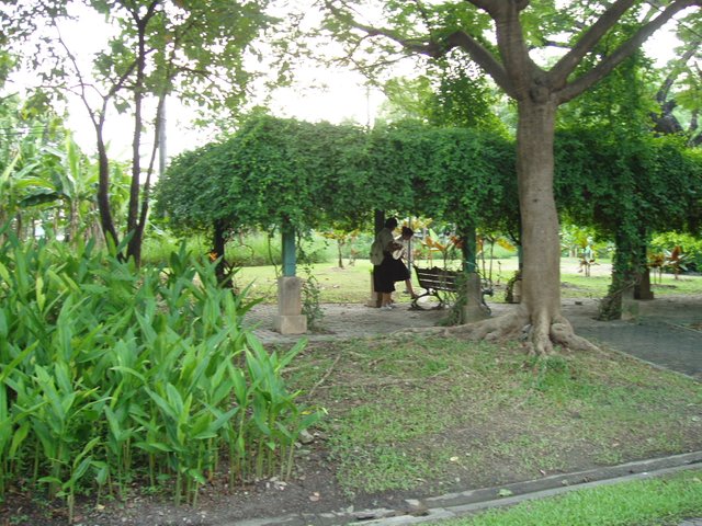 Queen Sirikit Park - students like to visit