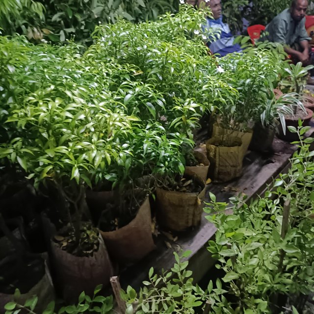 8e771b1d-9b3d-45f5-b6a9-28b28486fe14.jpeg
