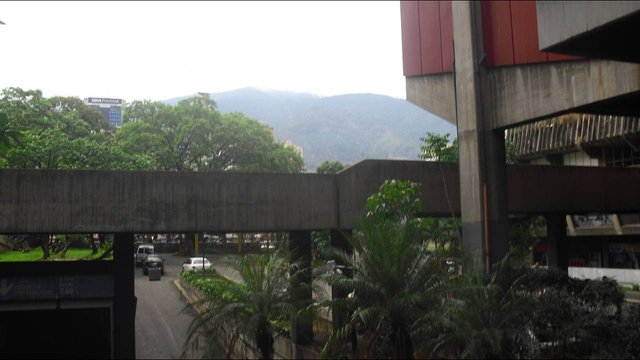 CIMG0138.JPG