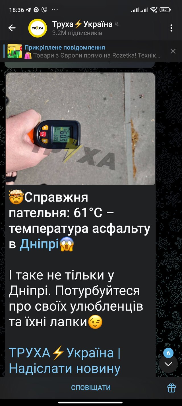 1000084115.jpg