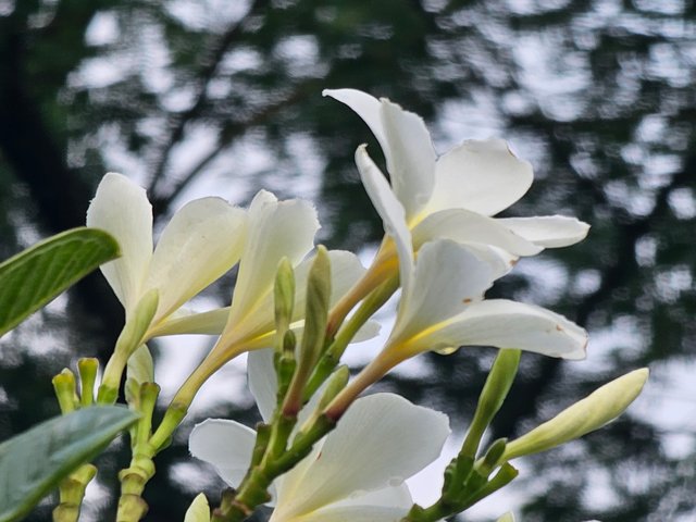 20250621_162310.jpg