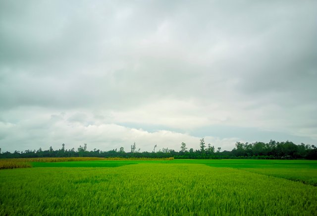 1000016452.jpg