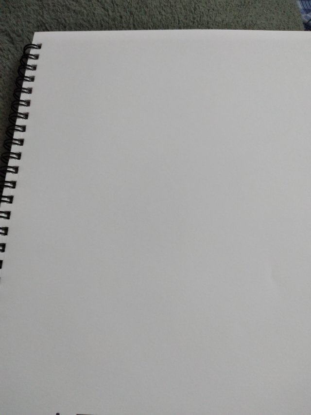 20250617_104813.jpg