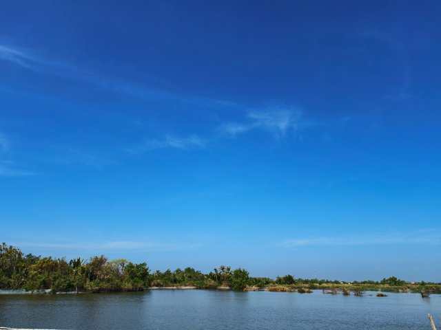 IMG_20250314_093238.jpg