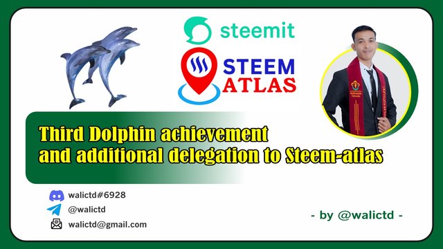 3 dolphin.jpg